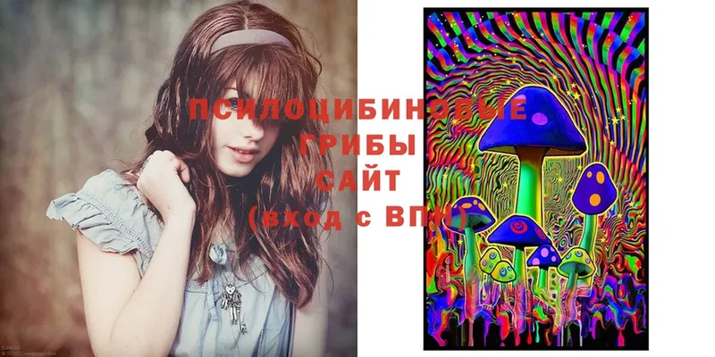 где можно купить   MEGA ссылка  Галлюциногенные грибы Magic Shrooms  Заводоуковск 